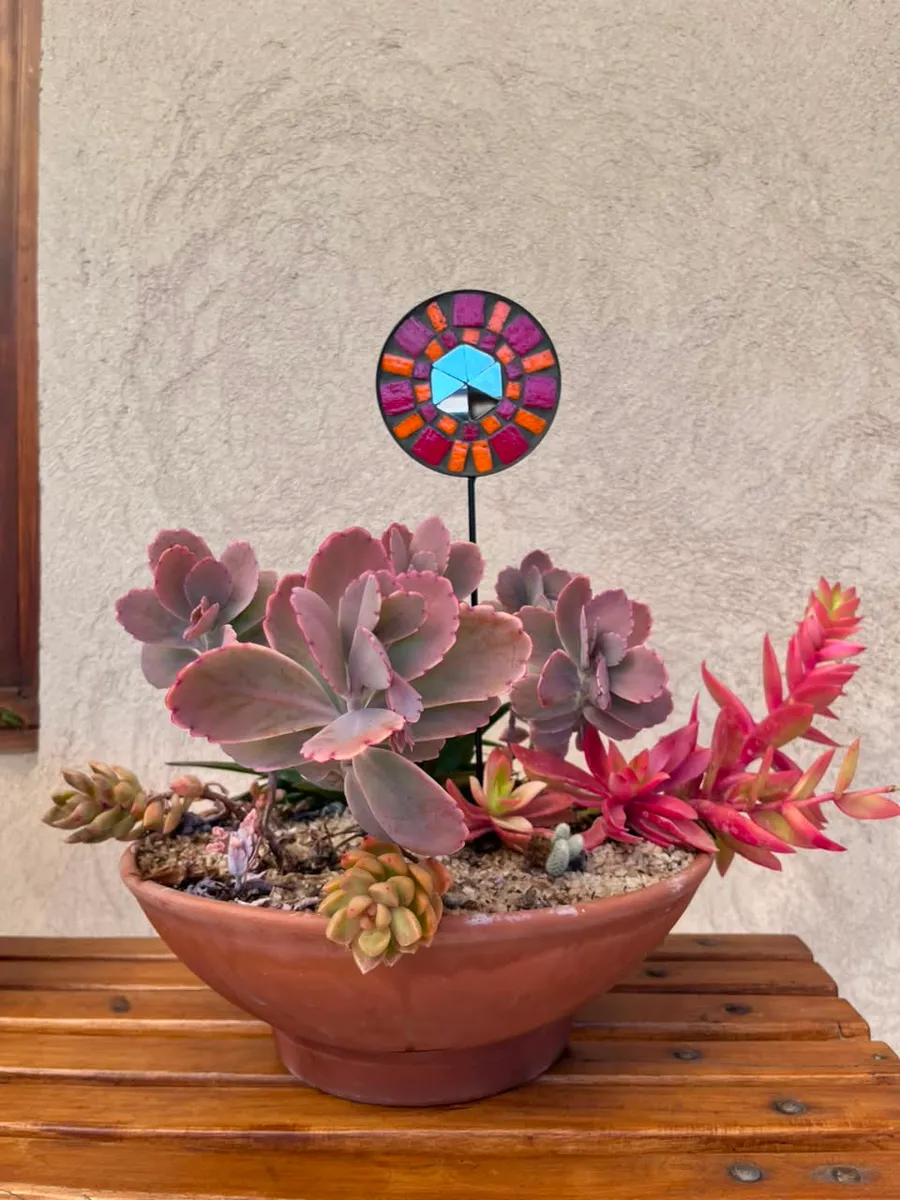 Sol de mosaico de colores clavado en una maceta de suculentas
